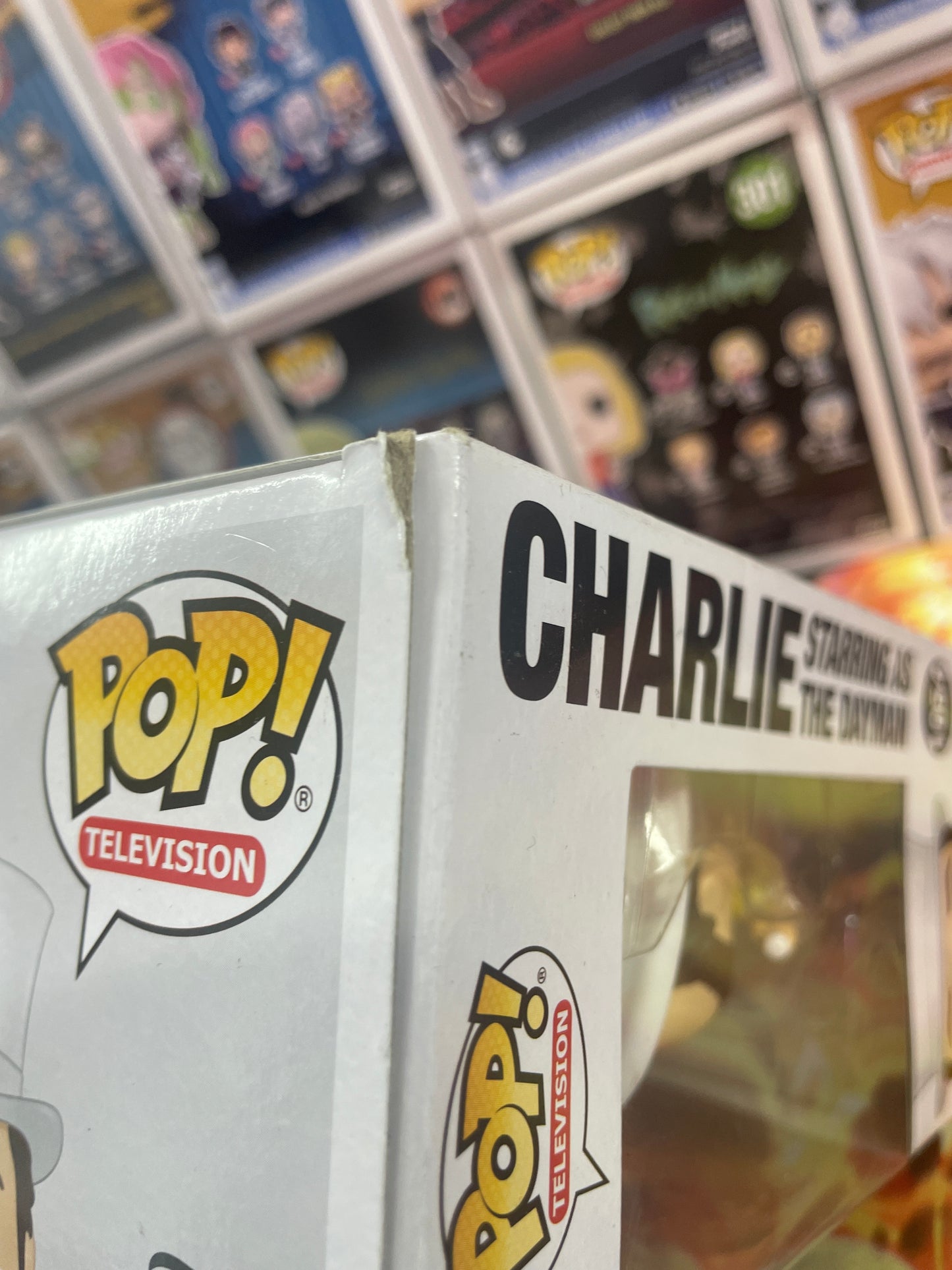 Charlie Starring As The Dayman 1054